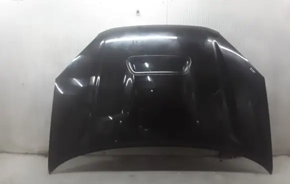 Toyota RAV 4 (XA20) Engine bonnet/hood
