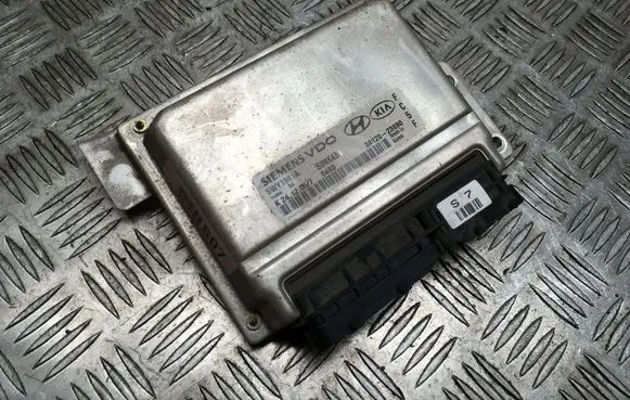 Hyundai Trajet Engine control unit/module 5WY1981A