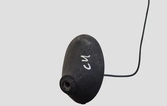 Citroen C4 I Radio antenna 9655613780