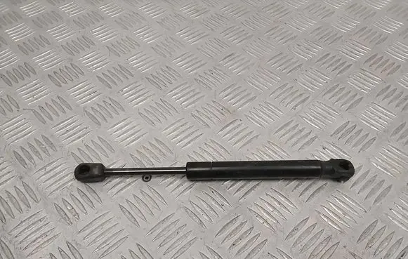 Tailgate strut