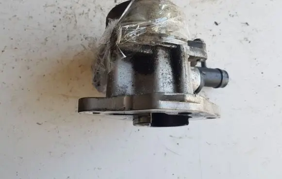 Nissan Kubistar Vacuum pump 7006730300