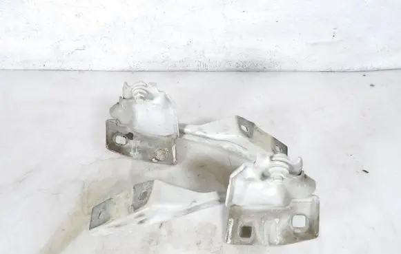 Citroen Jumper Front door hinge set 00520655470