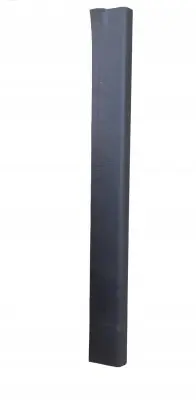 Ford Focus Front sill trim cover