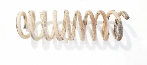 Rear coil spring