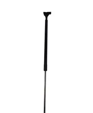 Ford Mustang Mach-E Tailgate strut LJ8BR406A10 LJ8BR406A10AF 724939