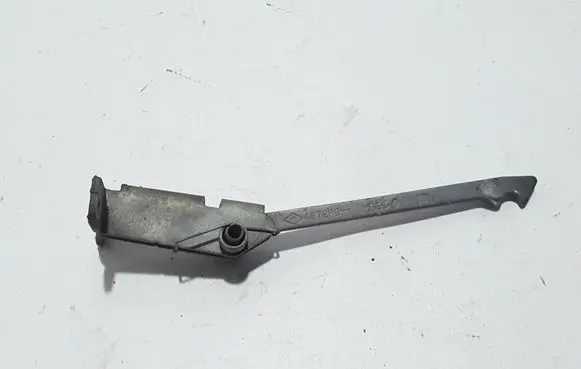 Renault Kangoo II Loading door check strap stopper 8200497809