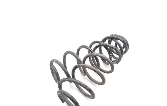 Rear coil spring
