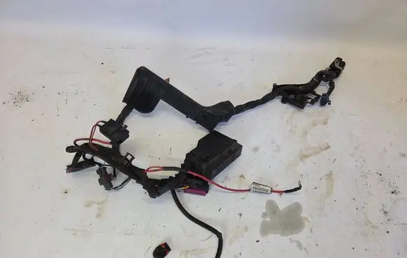 Engine installation wiring loom