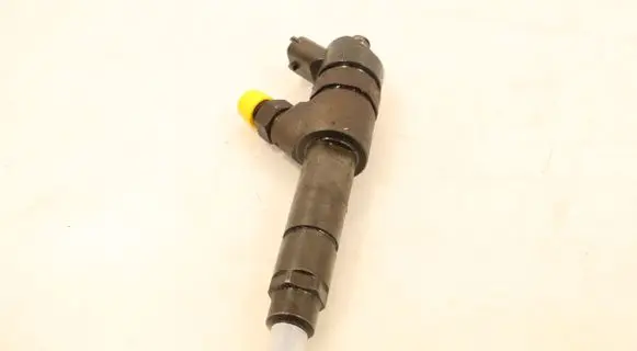 Fiat Ducato Fuel injector 0445120002