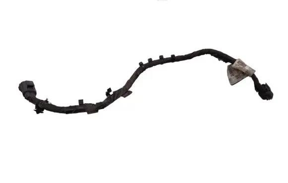 Ford Edge II Other wiring loom F2GT2B254BA