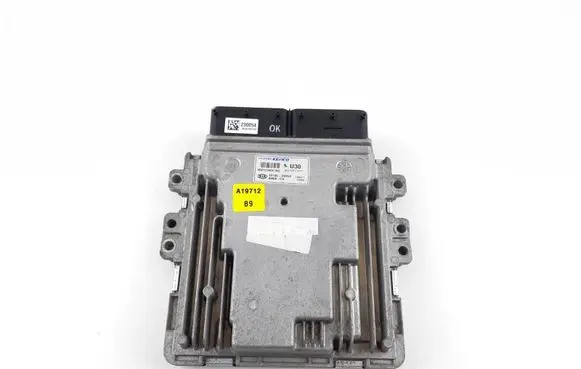 KIA Sportage Engine control unit/module 391002U930 SIM2K510
