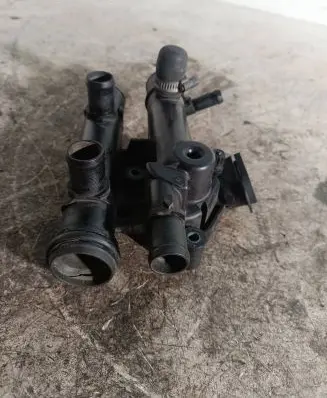 Thermostat/thermostat housing