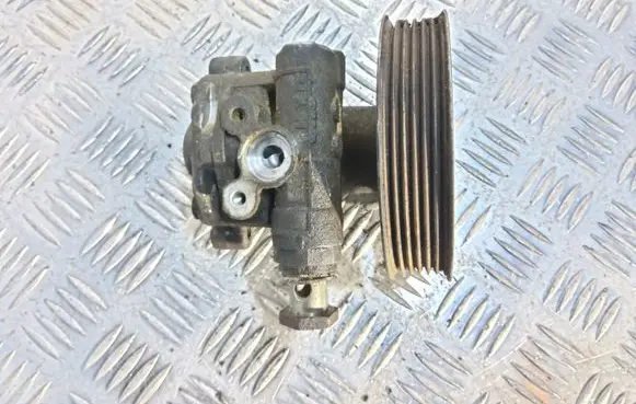 Volkswagen Golf IV Power steering pump 1J0422154B