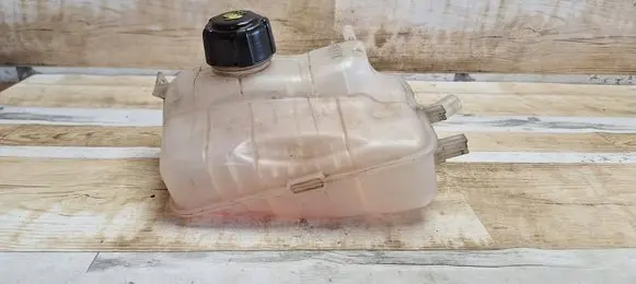 Renault Scenic III - Grand scenic III Coolant expansion tank/reservoir 217100005R