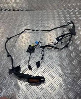 Audi A6 S6 C8 4K Front door wiring loom 4K5971029D