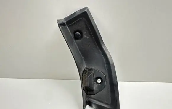 Rear/tail light trim molding