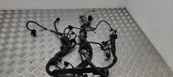 Engine installation wiring loom