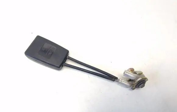 Volkswagen New Beetle Rear seatbelt buckle 1C0858493