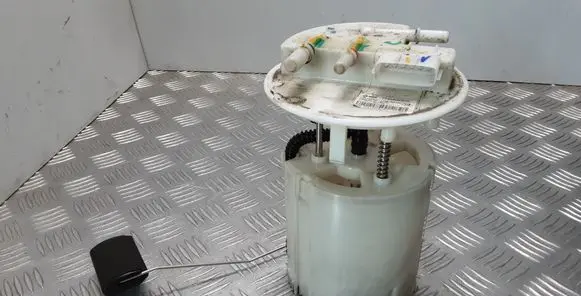 Renault Latitude (L70) In-tank fuel pump 172020037R