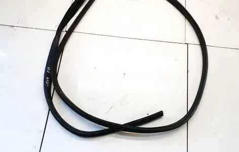 Ford C-MAX II Rubber seal front coupe door 