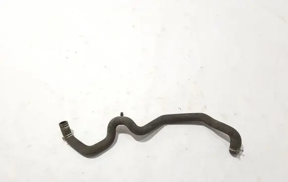 Dacia Jogger Engine coolant pipe/hose 215038419R