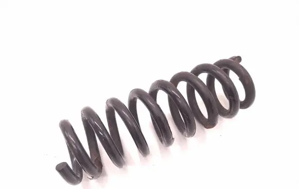 Rear coil spring