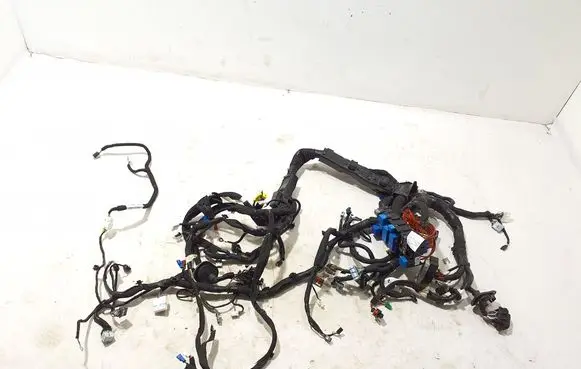 Renault Kangoo III Other wiring loom 242966734R