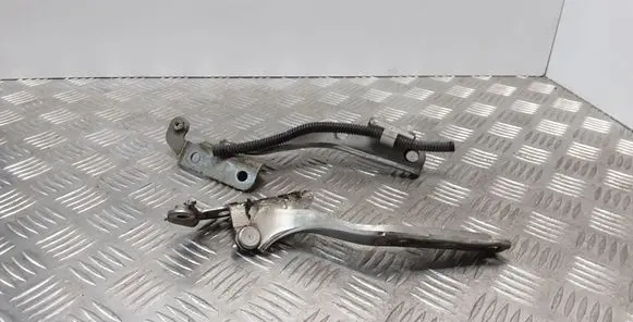Subaru B9 Tribeca Engine bonnet/hood hinges