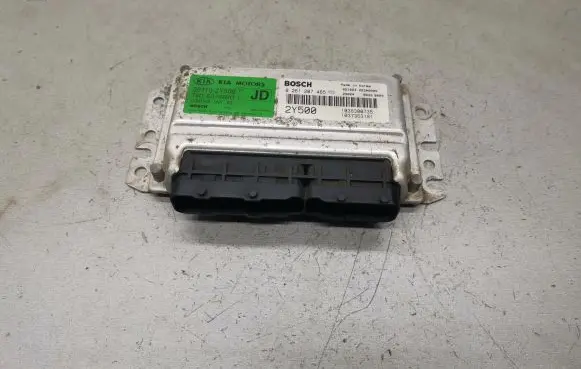 KIA Carens I Engine control unit/module 0261207465 391102Y500