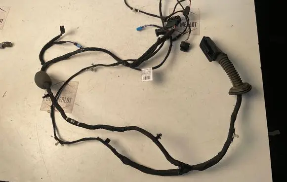 BMW X5 G05 Front door wiring loom 8714811