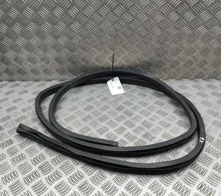 Citroen AMI electric Rubber seal front coupe door 9838252380