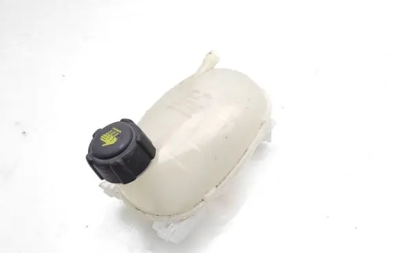 Renault Clio V Coolant expansion tank/reservoir 217102572R