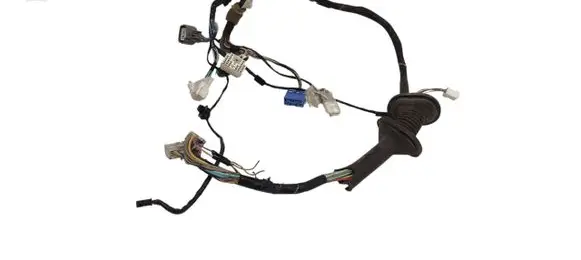 Front door wiring loom