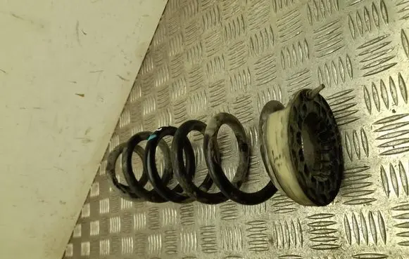 Nissan Ariya Rear coil spring