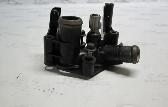 Thermostat/thermostat housing