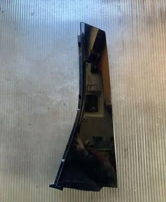 Other rear door trim element