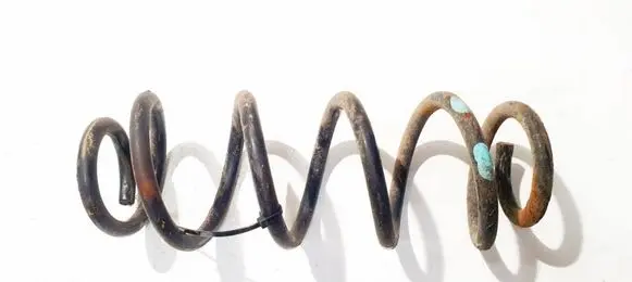 Rear coil spring