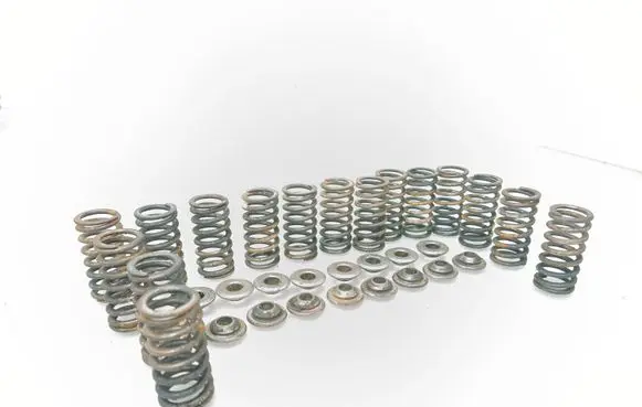 Volkswagen PASSAT B6 Valve spring