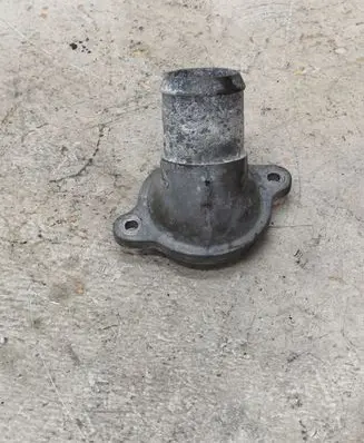 Thermostat/thermostat housing
