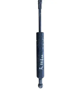 Tailgate/trunk strut/damper