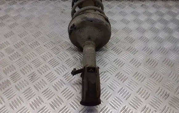 Renault Kangoo I Front shock absorber/damper