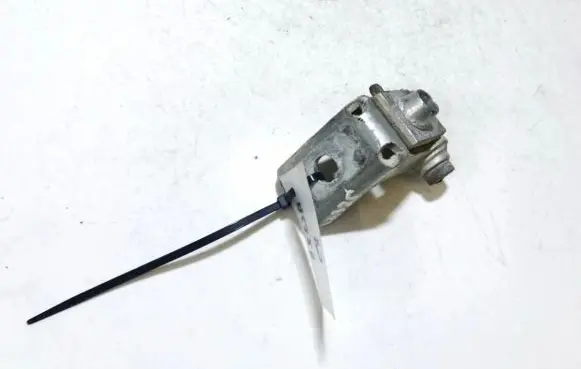 Peugeot 206 Rear door lower hinge