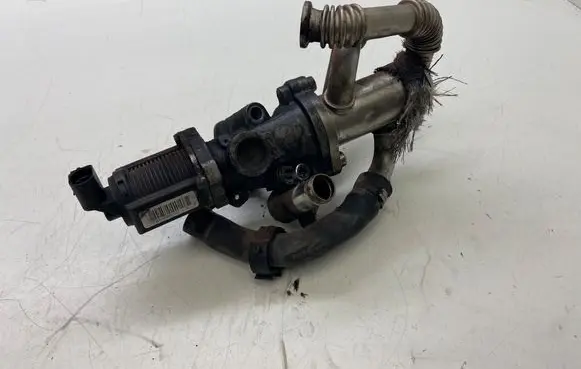 Fiat 500 EGR valve FGP55184653