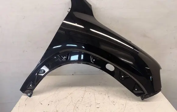 Dacia Spring Fender SPRBLOT1