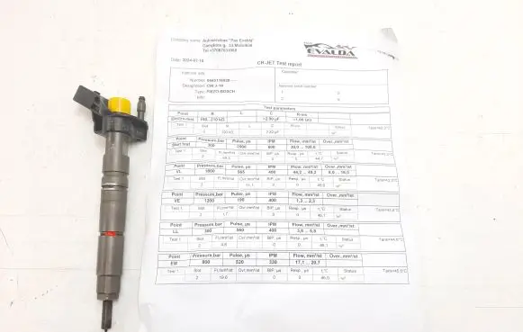 Mercedes-Benz Sprinter W906 Fuel injector 0445116028 A6420701287