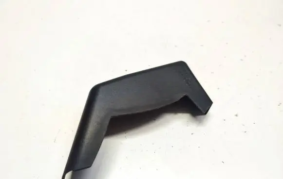 Rear/tail light trim molding