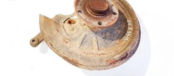 Skoda Octavia Mk2 (1Z) Rear wheel hub didzioji