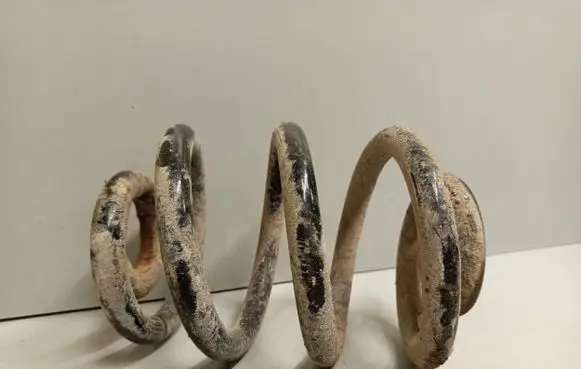 Volkswagen Transporter - Caravelle T4 Rear coil spring
