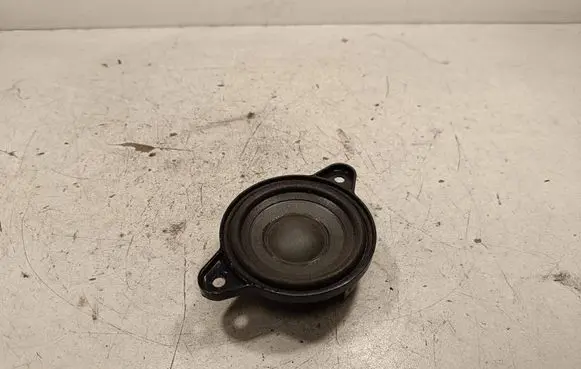 Panel speaker