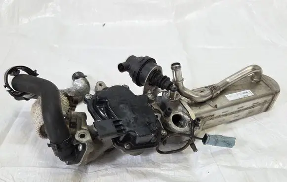 EGR valve